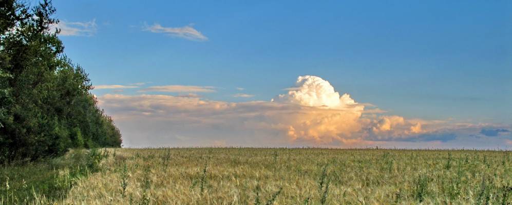 
            Фотография Старой Вьевки