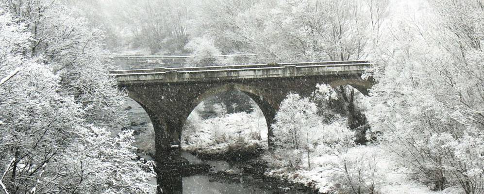 
            Фотография Адраль