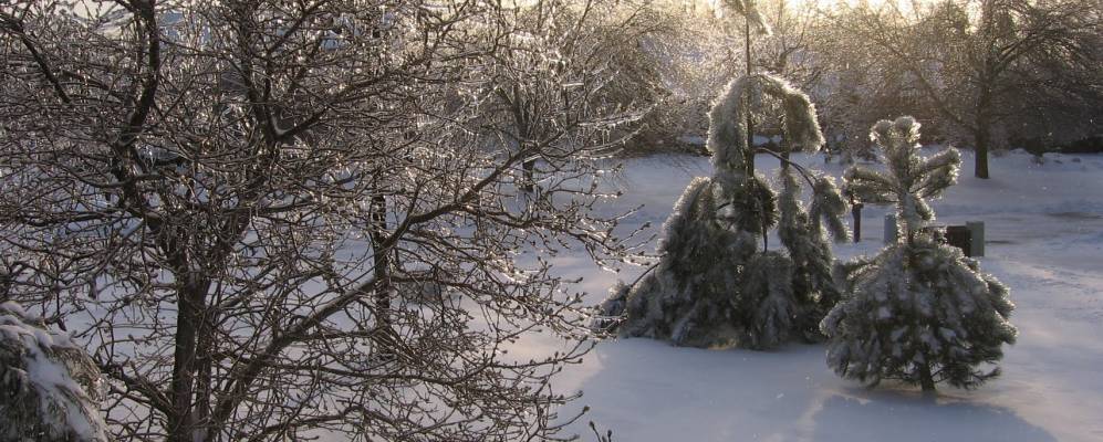 
            Фотография Виллидж оф Игдиан Хилла