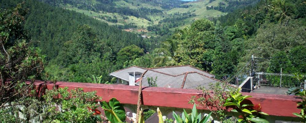 
            Фотография Делтоты