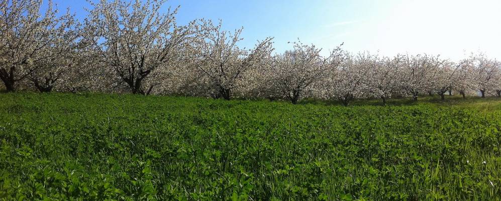 
            Фотография Санта-Паолы