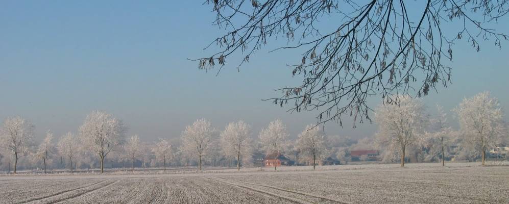 
            Фотография Ашеберг