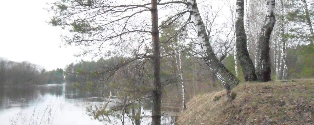 Фотография Бакуновичей