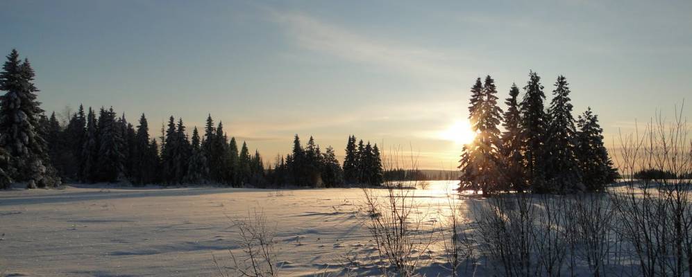 Фотография Хрупачей