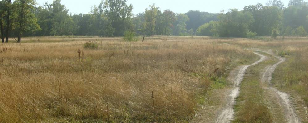 
            Фотография Лукищины