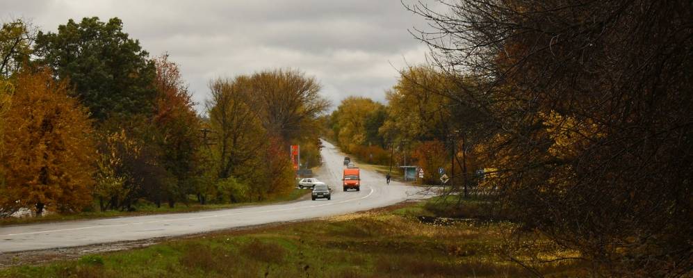 Фотография Жуки