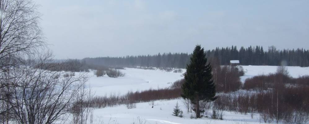 
            Фотография Щелино