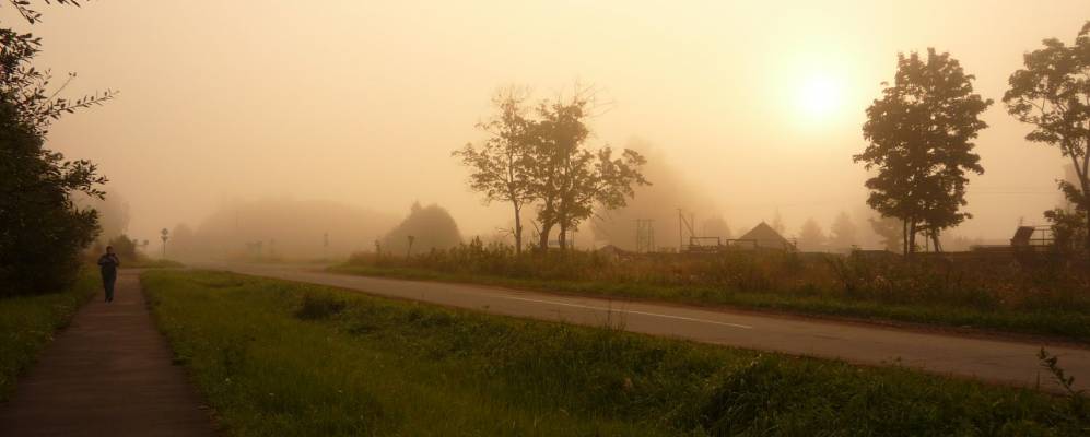 
            Фотография деревни Борки