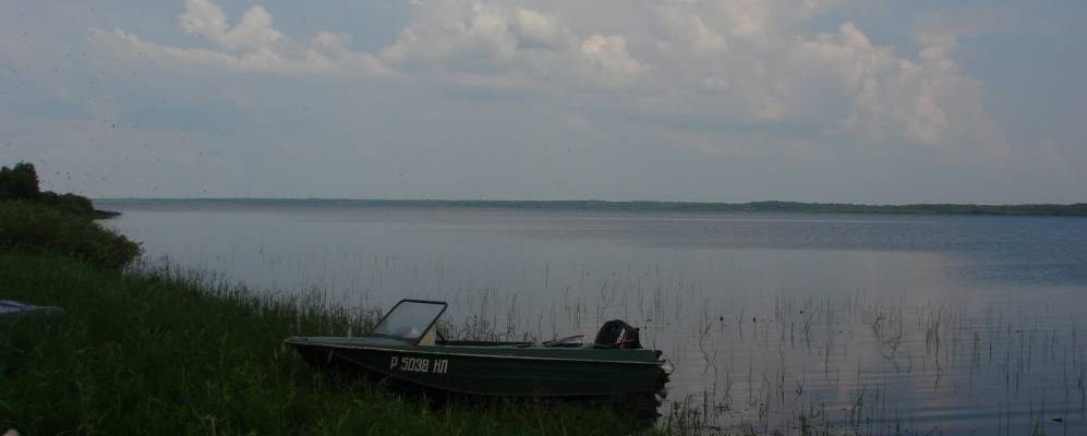 
            Фотография Бора