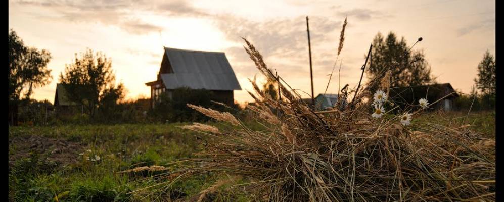 
            Фотография Щепотьево
