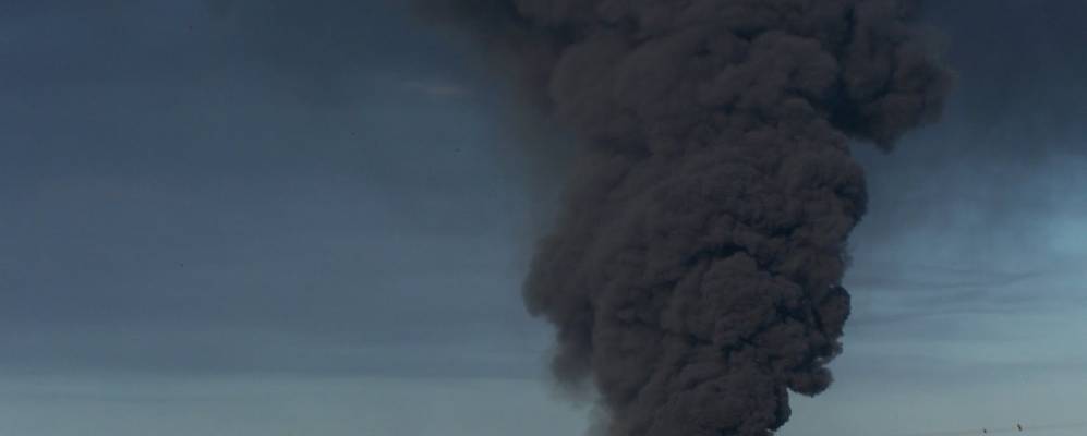 
            Фотография Пинчбека