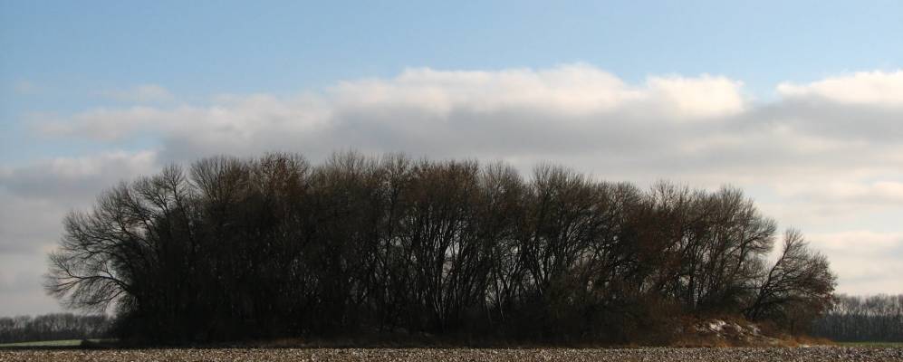 
            Фотография Романки