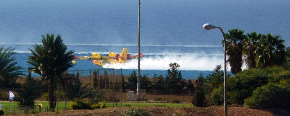 
            Фотография Тират Кармель