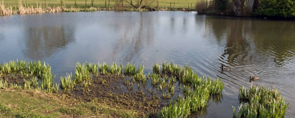 
            Фотография Long Buckby