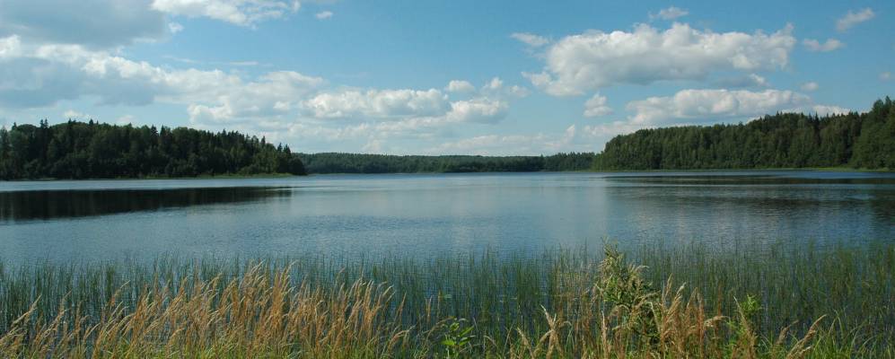 
            Фотография Мельницы