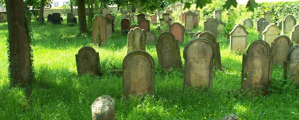 
            Фотография Фуссгонхайма