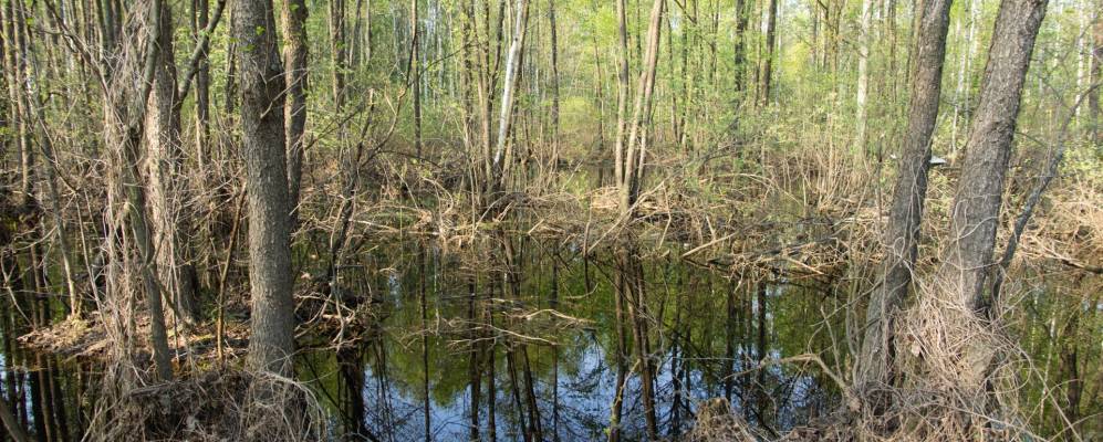 
            Фотография Линдо-Пустыни