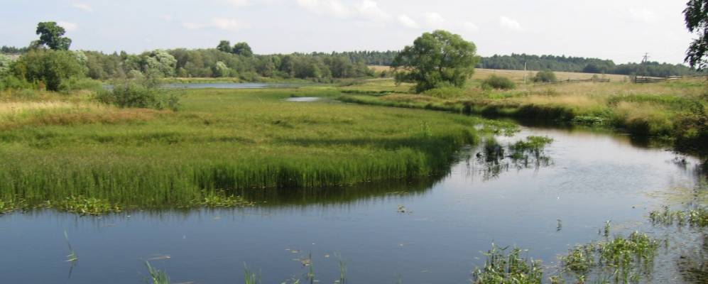 Фотография Глухово