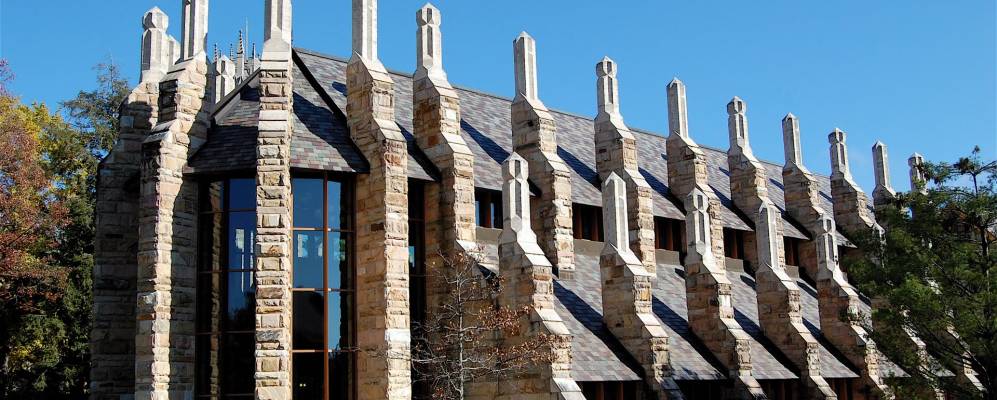 
            Фотография Сеуони