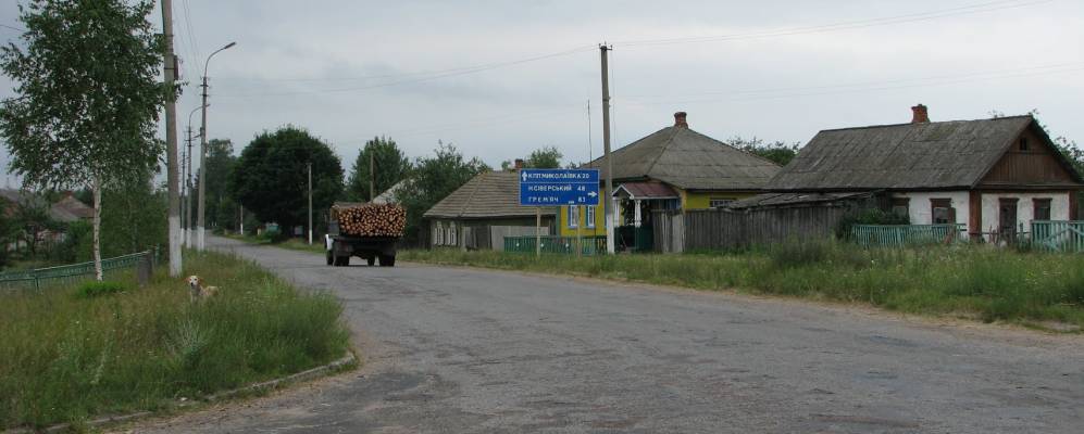 
            Фотография Кривуши