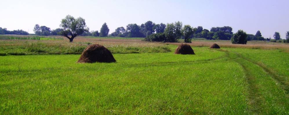 Фотография Баланды