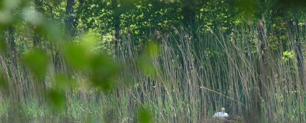 
            Фотография Борпэр-ан-Бреса