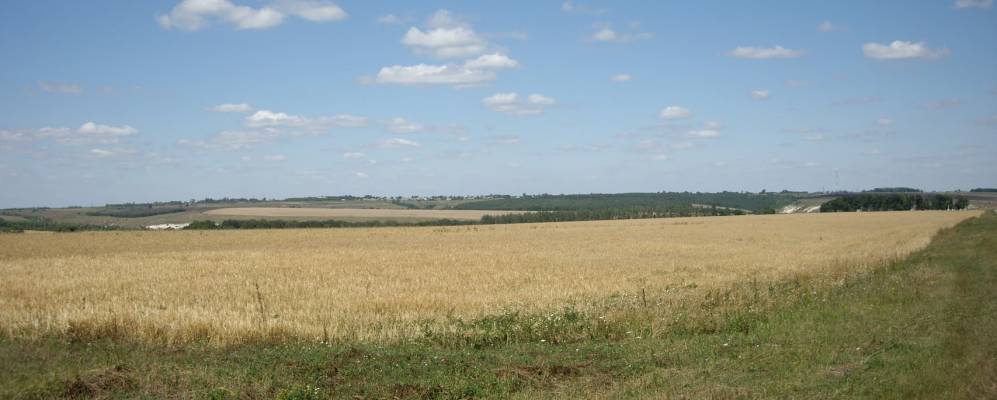 Фотография Караешного