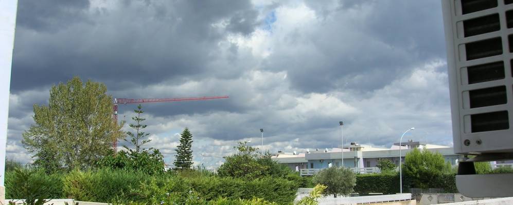 
            Фотография Талсано