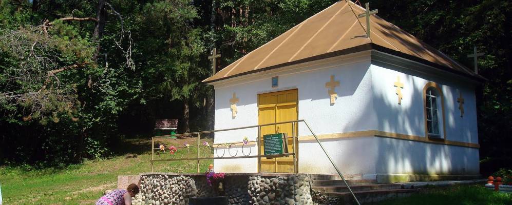 Фотография Стомино