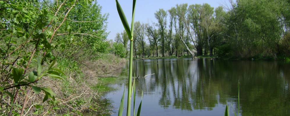 
            Фотография Карагичева