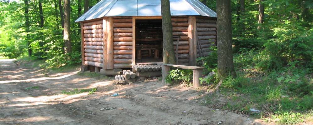 
            Фотография Брусенок