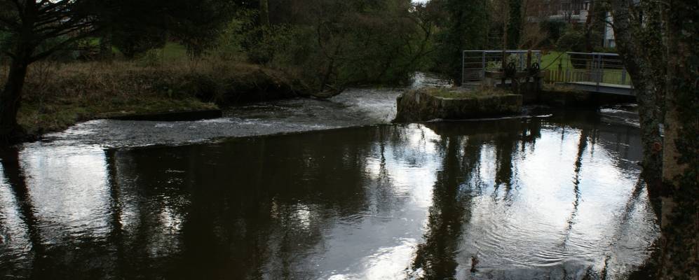 
            Фотография Даула