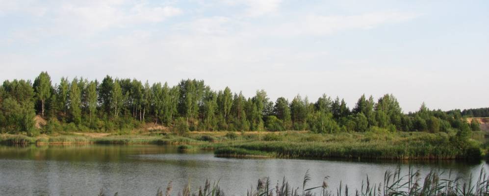 
            Фотография Закота