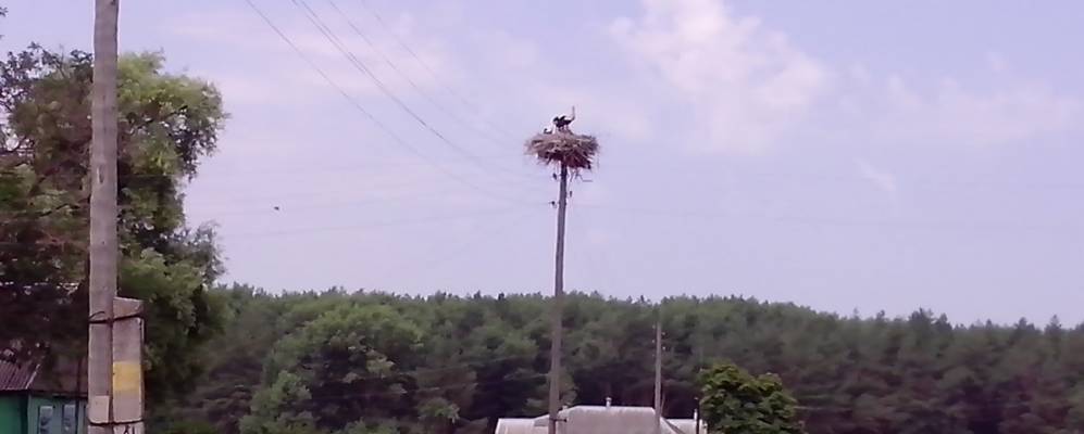 Фотография Барышниково