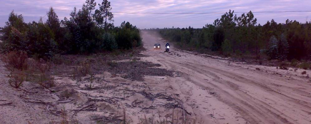 
            Фотография Мелидеша