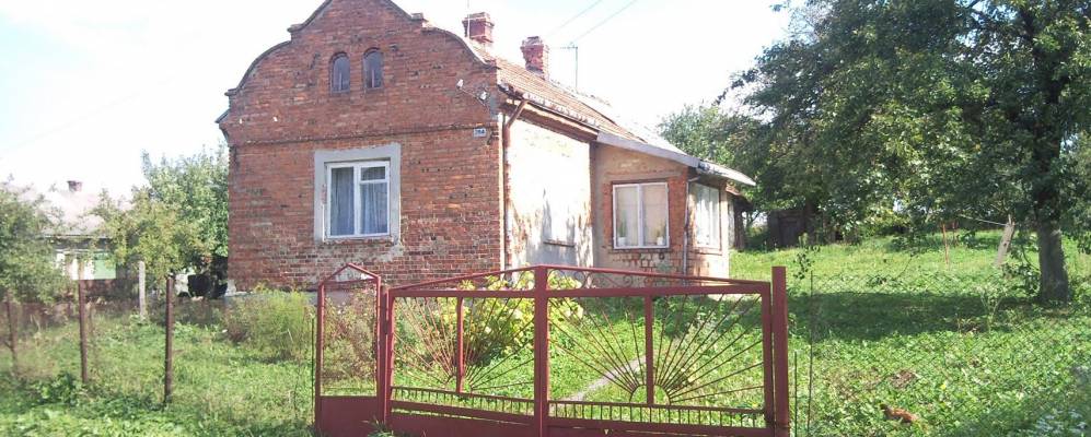 
            Фотография Гаи