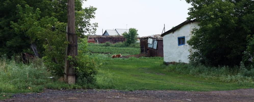 
            Фотография Костомара