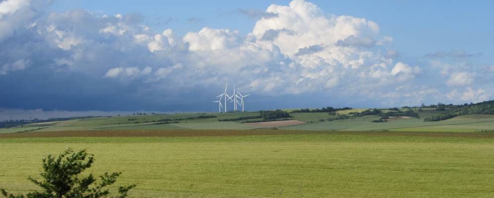 Фотография Люси