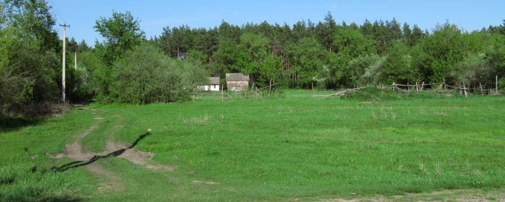 
            Фотография Малоселецкого