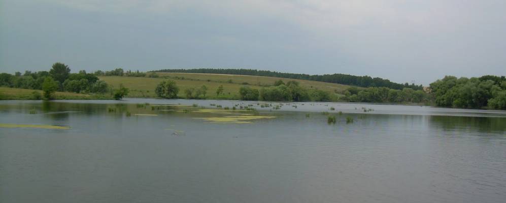 Фотография Чигириновки