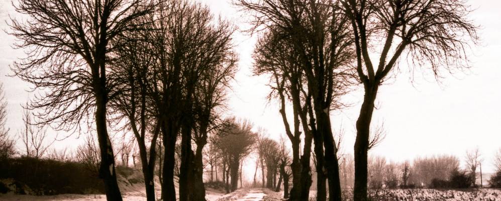 
            Фотография Вильядьего