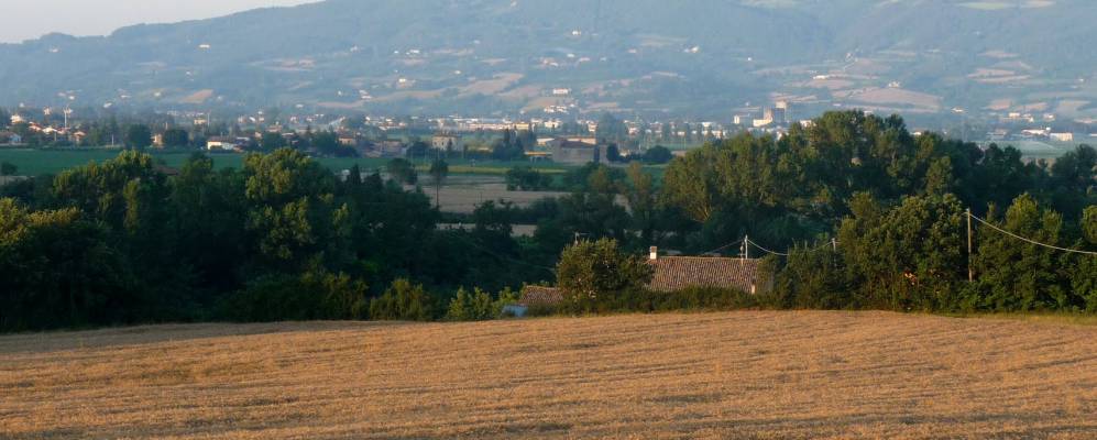 
            Фотография Ламы