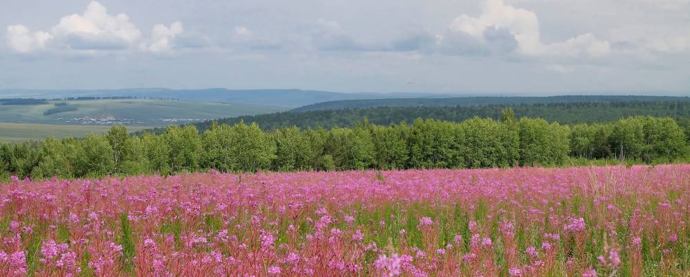 
            Фотография Задов