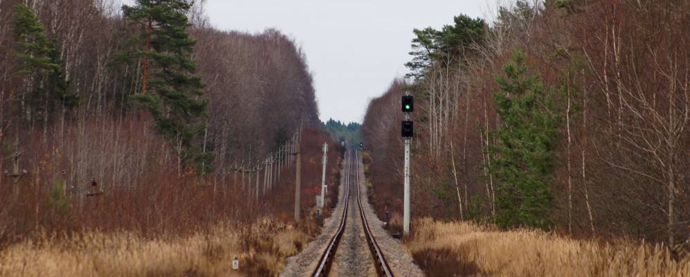 
            Фотография Волдаевки