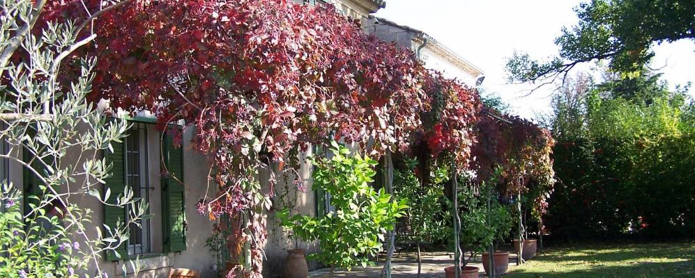 
            Фотография Гравезона