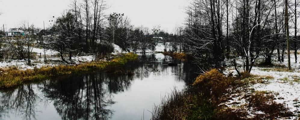 
            Фотография Крупчатки