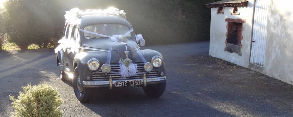 
            Фотография Ниуазо