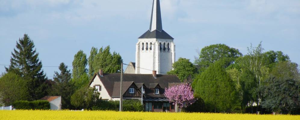 
            Фотография Дарвуа