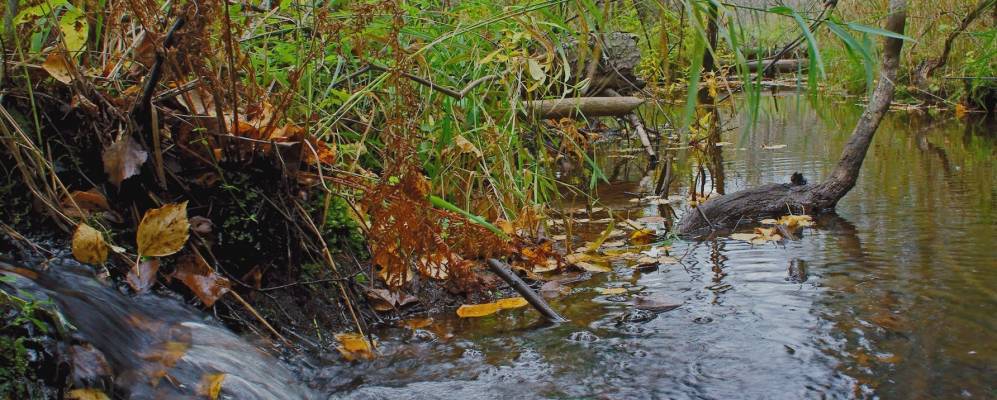 
            Фотография Шликина Наволока