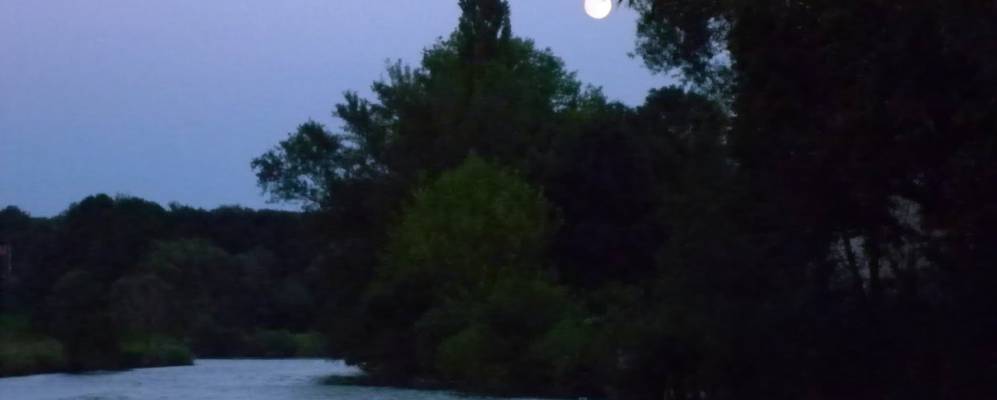 
            Фотография Голодьки